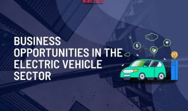 Business Opportunities in the Electric Vehicle Sector